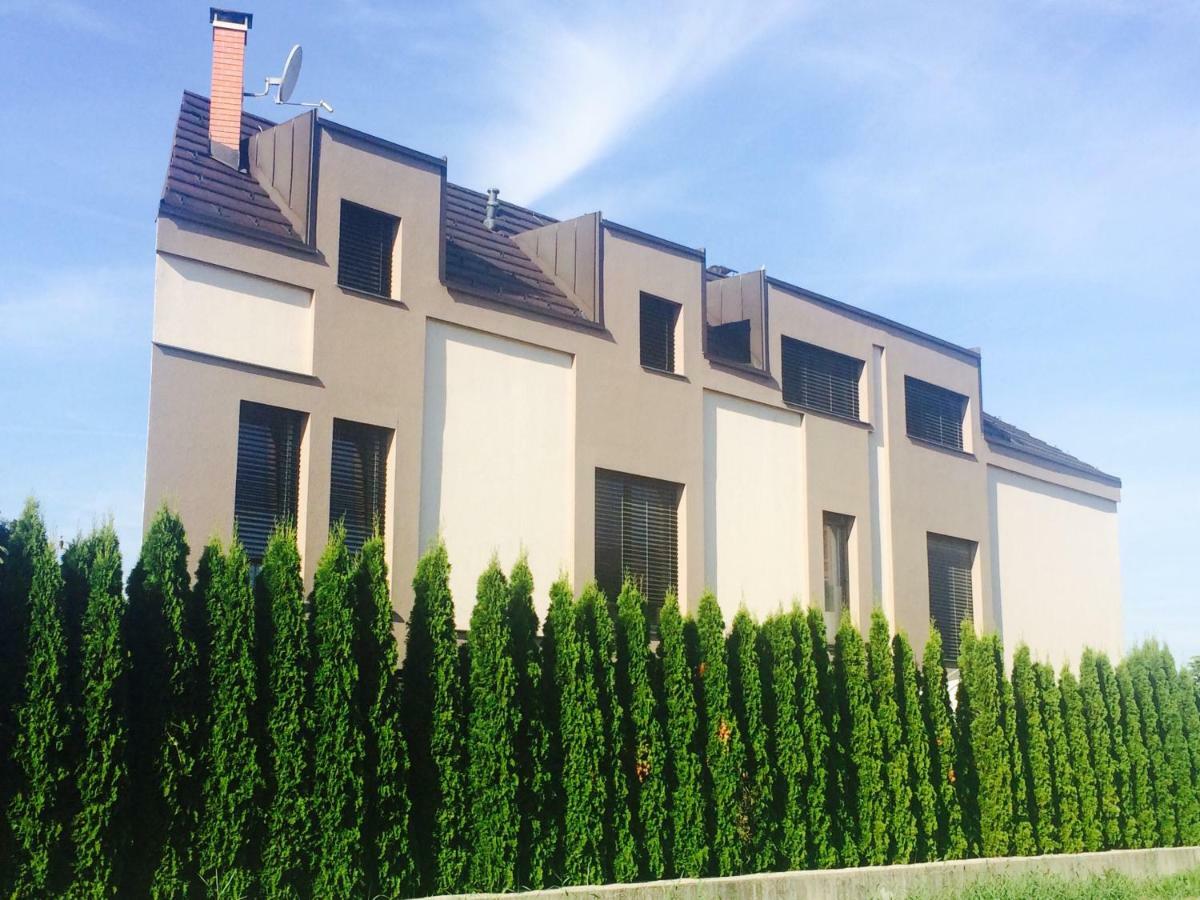 Sandra'S House Bed and Breakfast Log pri Brezovici Exterior foto